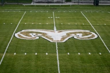 Rams Field